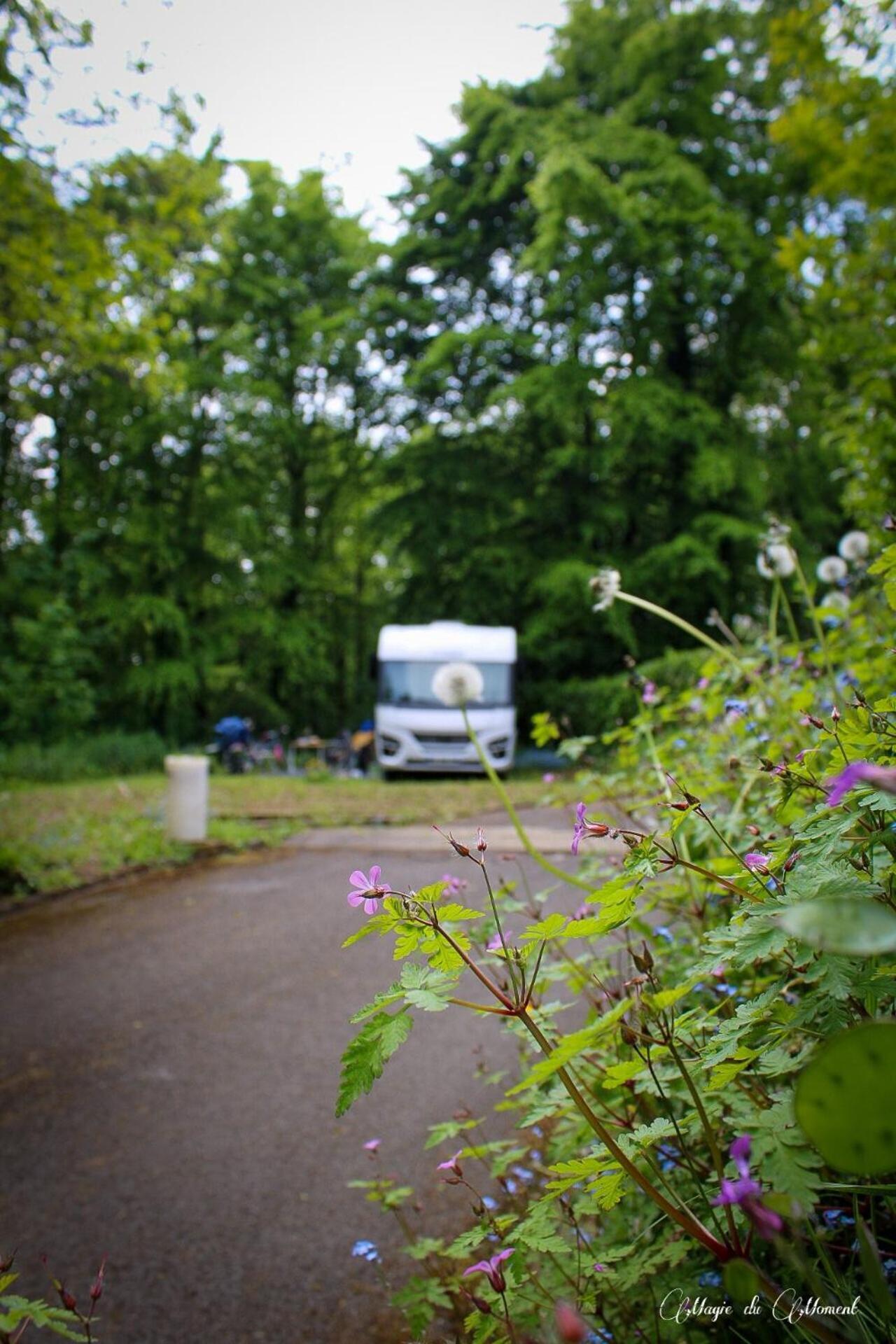 Camping La Sabliere Saint-Jans-Cappel Luaran gambar